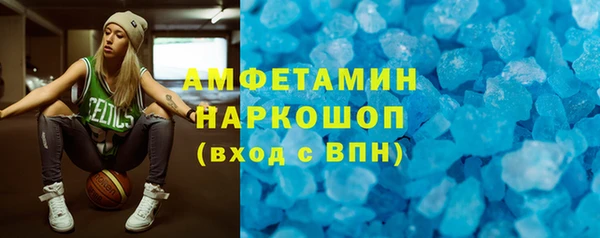 стаф Инта