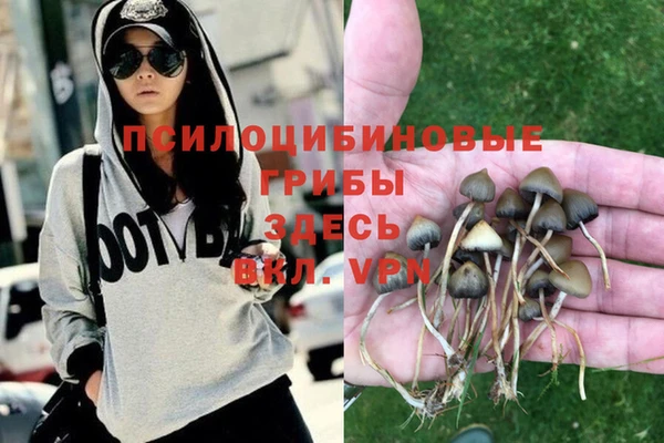 кокс Каменка