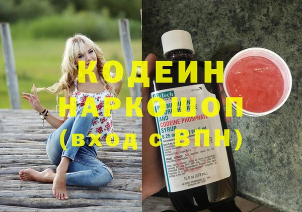 СК Каменногорск