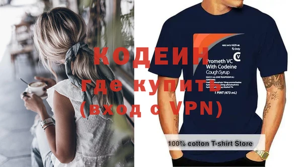apvp Инсар