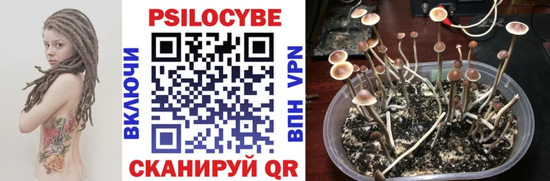 Купить закладки  Похвистнево  Галлюциногенные грибы MAGIC MUSHROOMS 